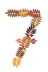 Image showing Numeral seven 7 put from autumn sheet