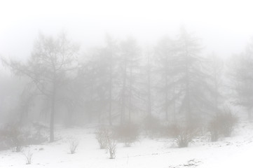 Image showing Winter snow park