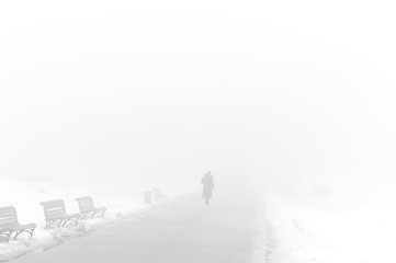 Image showing Foggy winter park