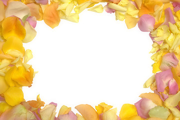 Image showing Rose petals