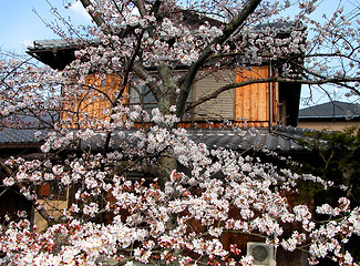 Image showing House In Spring