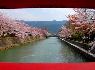 Image showing Spring Canal