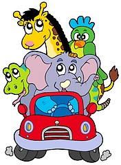 Image showing African animals in red car