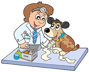 Image showing Dog with sick paw at veterinarian