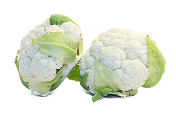 Image showing Cauliflower