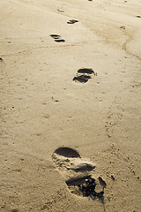 Image showing Trace of the person on sand