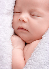 Image showing Cute newborn sleeps wrapped in white blanket