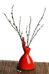 Image showing Branches of a willow in a red vase