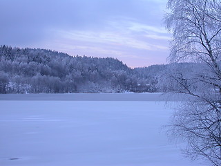 Image showing Winterlake