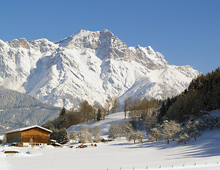 Image showing Farm in winter