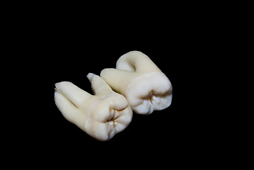 Image showing extracted human teeth