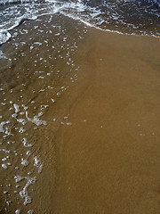 Image showing Tidal Water Close Up