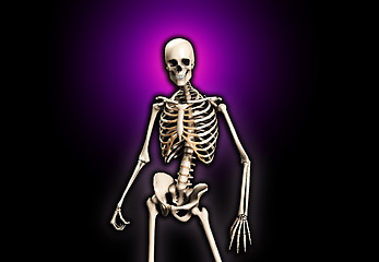 Image showing Standing Skeleton 