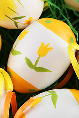 Image showing Painted easter eggs 