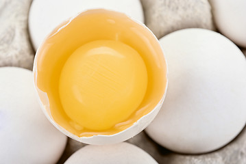 Image showing Eggs