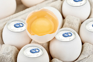 Image showing aluminium eggs