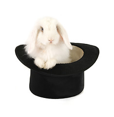 Image showing rabbit and black hat