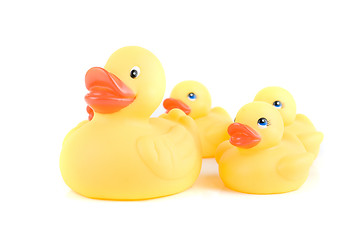 Image showing yellow ducks