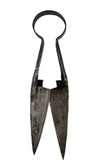Image showing Ancient spring scissors