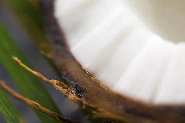 Image showing coconut and palm leaf. exotic scene