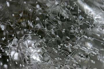 Image showing ice