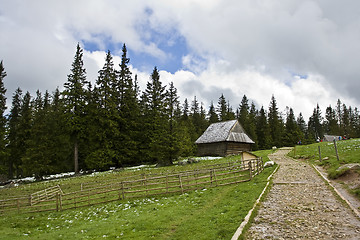 Image showing Clearing in the mountains