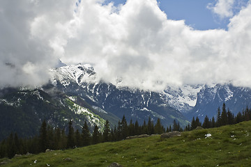 Image showing Mountains spring