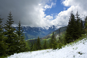 Image showing Mountains spring