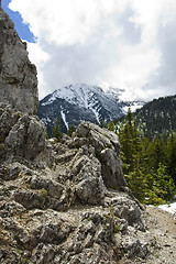 Image showing Mountains spring