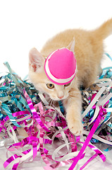 Image showing Cat kitten with hat 