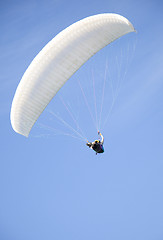 Image showing paragliding extreme sport