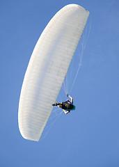 Image showing paragliding extreme sport