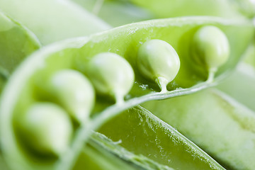 Image showing vegetal peas