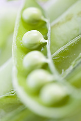 Image showing vegetal peas