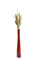 Image showing decortaion vase wheat