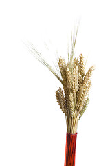 Image showing decortaion vase wheat