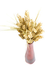 Image showing decortaion vase wheat