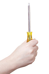 Image showing isolated screwdriver
