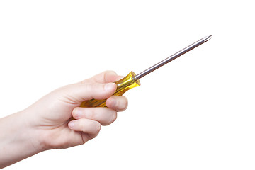 Image showing isolated screwdriver