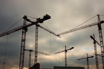 Image showing Cranes