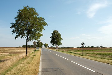 Image showing Road