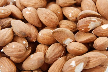 Image showing Almond