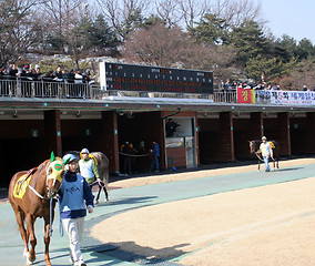 Image showing At the races