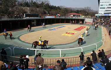 Image showing At the races