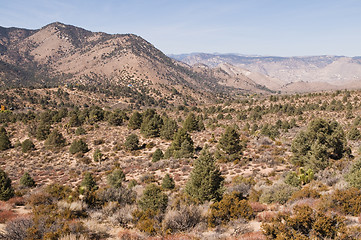 Image showing Desert