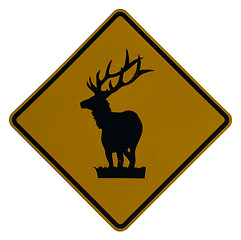 Image showing Elk Crossing