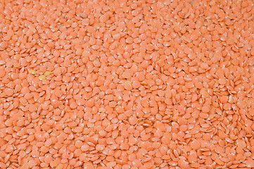 Image showing Lentils