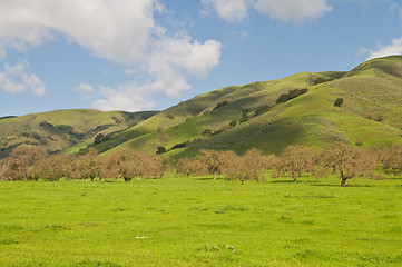 Image showing Green hills