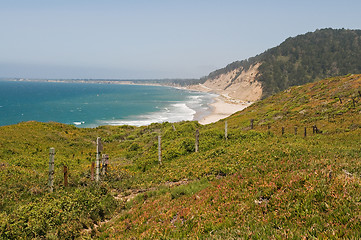 Image showing Pacific coast