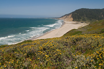 Image showing Pacific coast